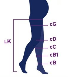 Measure the Circumference of Your Leg as Instructed